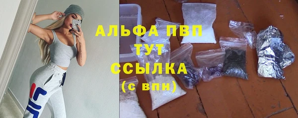 дмт Алексин