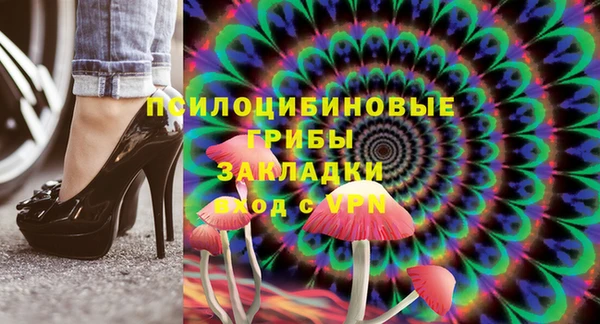 дмт Алексин