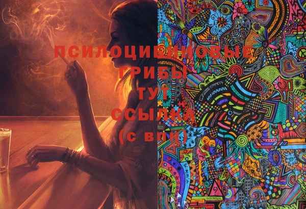 дмт Алексин
